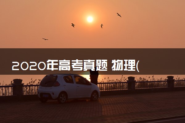 2020年高考真题 物理（山东卷)（含解析版）