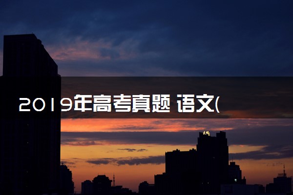 2019年高考真题 语文(山东卷)（含解析版）