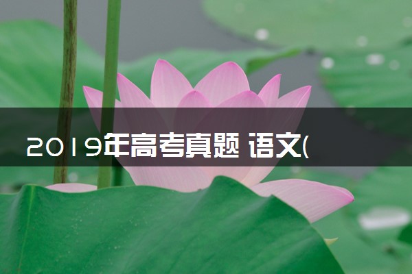 2019年高考真题 语文(山东卷)（含解析版）