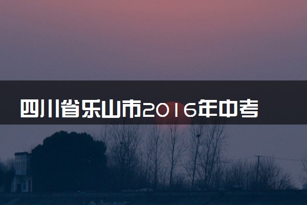 四川省乐山市2016年中考化学真题试题（含答案）