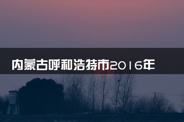 内蒙古呼和浩特市2016年中考化学真题试题（含答案）