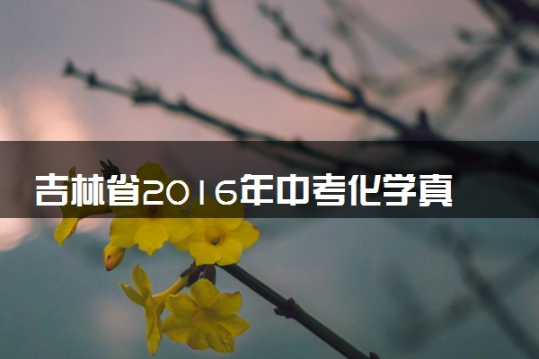 吉林省2016年中考化学真题试题（含解析）