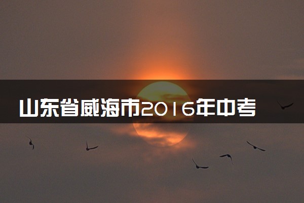 山东省威海市2016年中考化学真题试题（含答案）