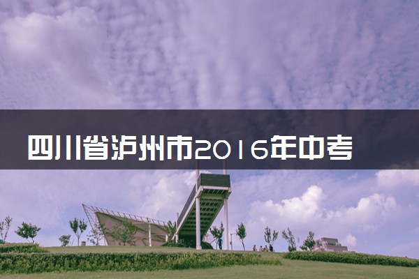 四川省泸州市2016年中考化学真题试题（含解析）