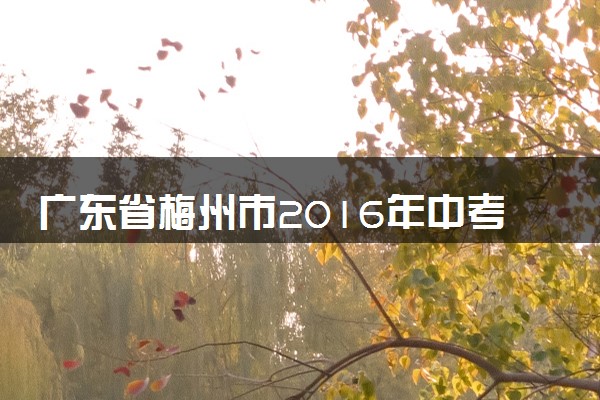 广东省梅州市2016年中考化学真题试题（含解析）