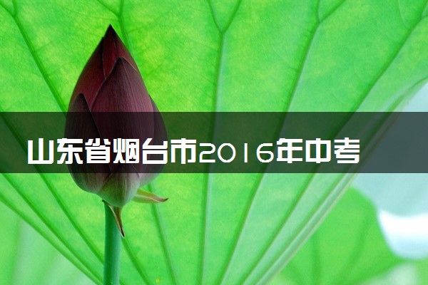 山东省烟台市2016年中考化学真题试题（含解析）