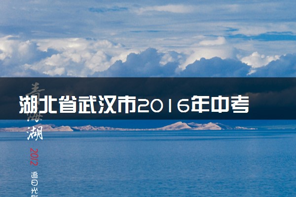 湖北省武汉市2016年中考化学真题试题（含解析）