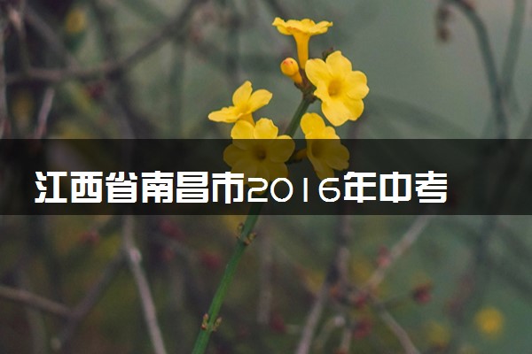 江西省南昌市2016年中考化学真题试题（含解析）
