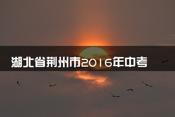 湖北省荆州市2016年中考化学真题试题（含解析）