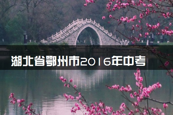 湖北省鄂州市2016年中考化学真题试题（含解析）