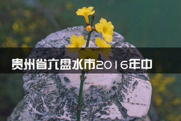 贵州省六盘水市2016年中考理综（化学部分）真题试题（含答案）
