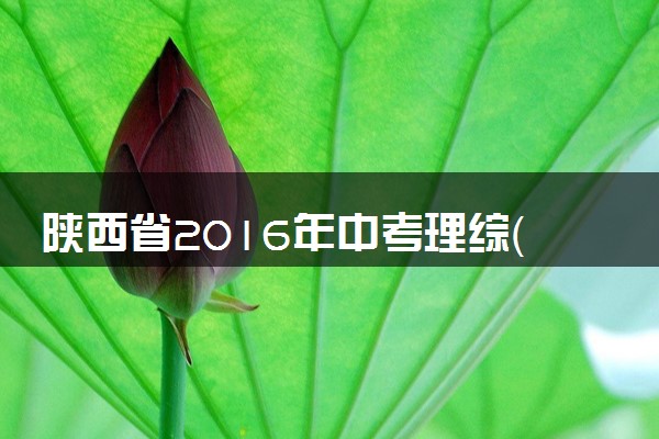 陕西省2016年中考理综（化学部分）真题试题（含解析）
