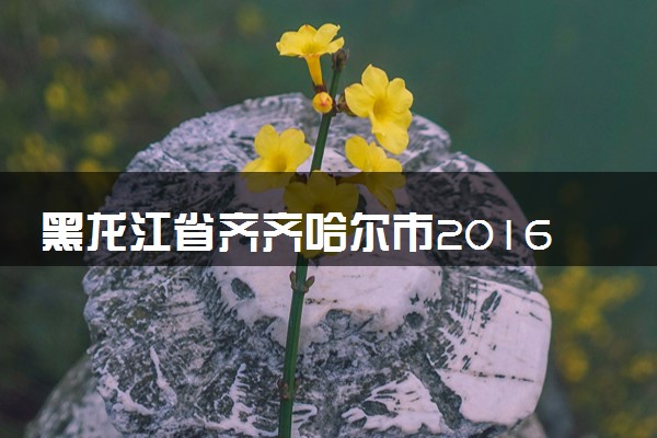 黑龙江省齐齐哈尔市2016年中考化学真题试题（含解析）