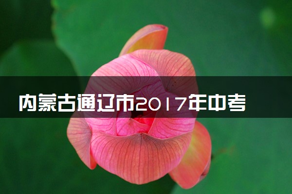 内蒙古通辽市2017年中考化学真题试题（含解析）