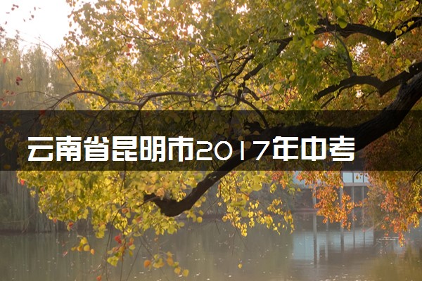 云南省昆明市2017年中考化学真题试题（含解析）