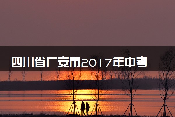 四川省广安市2017年中考化学真题试题（含解析）