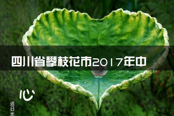 四川省攀枝花市2017年中考化学真题试题（含答案）