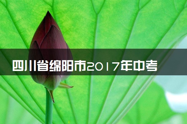 四川省绵阳市2017年中考化学真题试题（含答案）