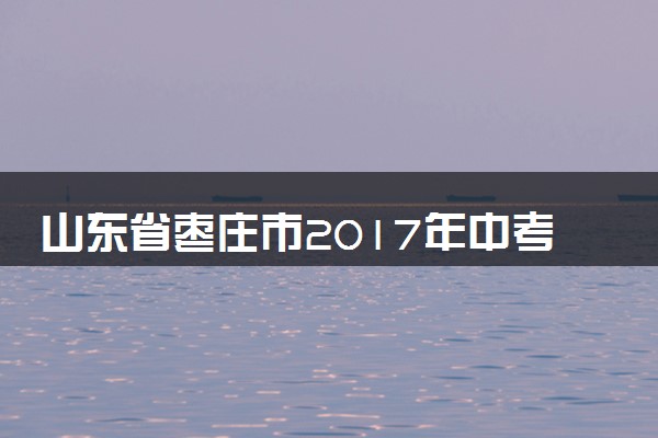 山东省枣庄市2017年中考化学真题试题（含解析）