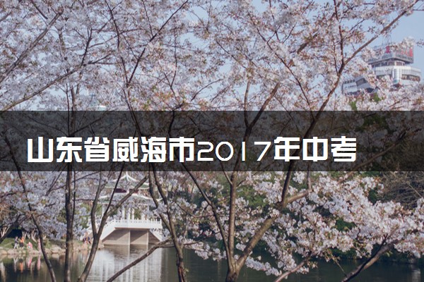 山东省威海市2017年中考化学真题试题（含解析）
