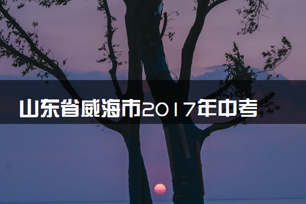 山东省威海市2017年中考化学真题试题（含答案）