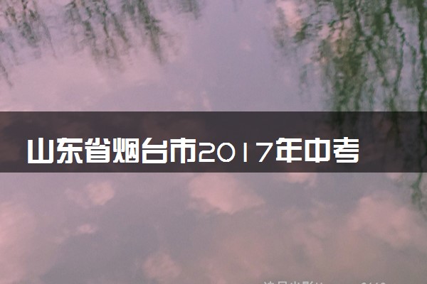 山东省烟台市2017年中考化学真题试题（含解析）