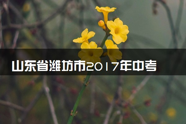 山东省潍坊市2017年中考化学真题试题（含解析）