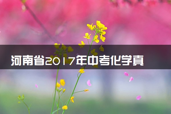 河南省2017年中考化学真题试题（含答案）