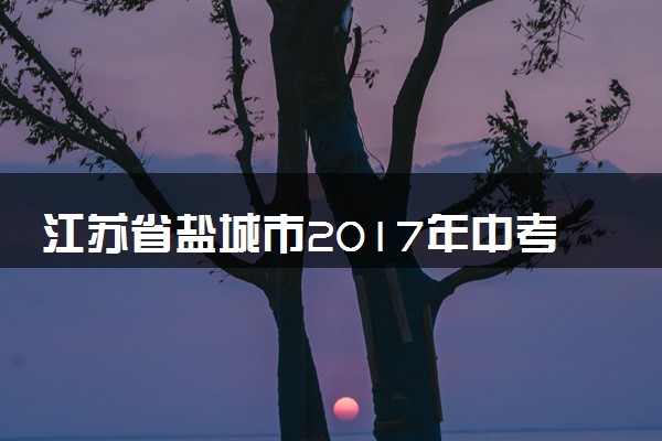 江苏省盐城市2017年中考化学真题试题（含解析）