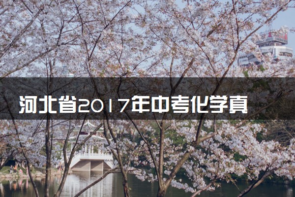 河北省2017年中考化学真题试题（含解析）