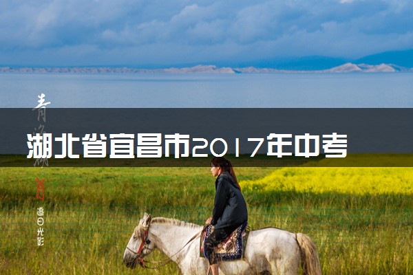 湖北省宜昌市2017年中考化学真题试题（含答案）
