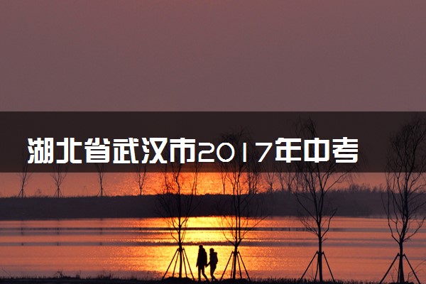 湖北省武汉市2017年中考化学真题试题（含答案）