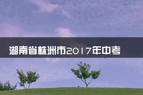 湖南省株洲市2017年中考化学真题试题（含解析）