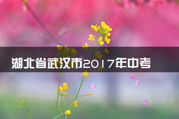 湖北省武汉市2017年中考化学真题试题（含解析）
