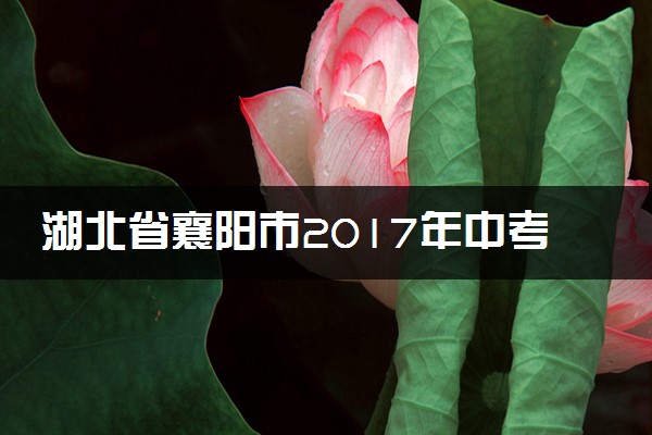 湖北省襄阳市2017年中考化学真题试题（含解析）