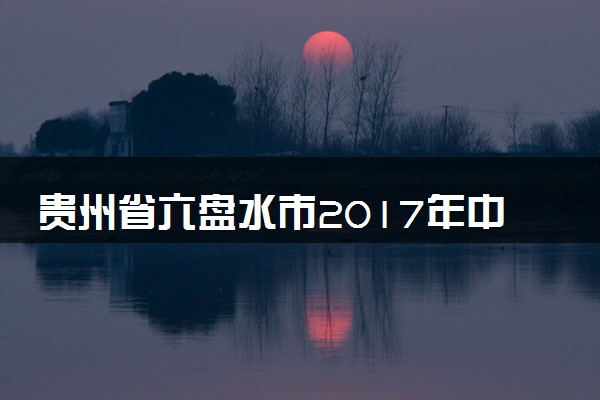 贵州省六盘水市2017年中考理综（化学部分）真题试题（含答案）
