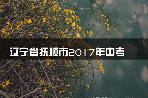 辽宁省抚顺市2017年中考化学真题试题（含答案）