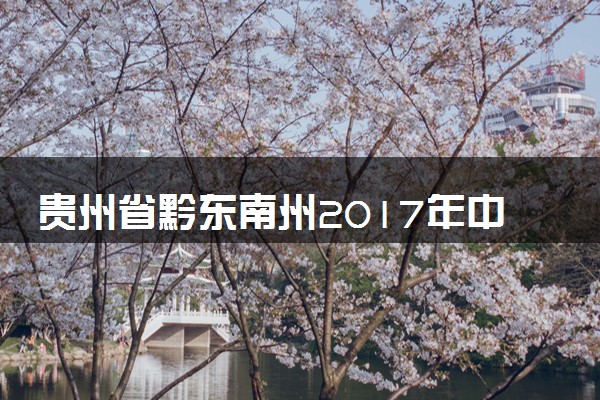 贵州省黔东南州2017年中考理综（化学部分）真题试题（含解析）