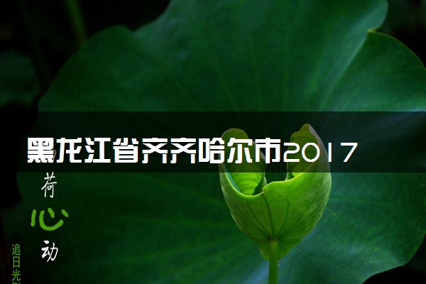 黑龙江省齐齐哈尔市2017年中考化学真题试题（含解析）