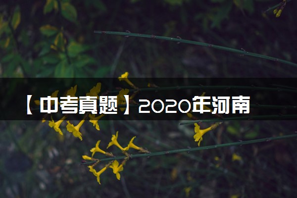 【中考真题】2020年河南省中考历史真题试卷（附答案）