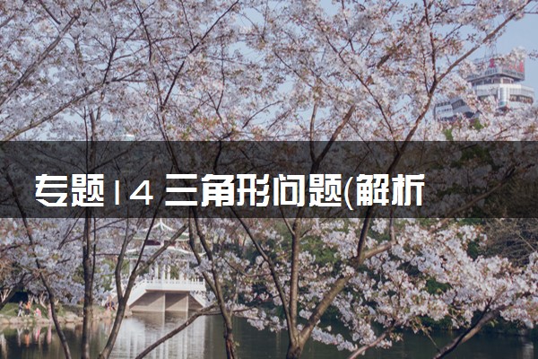 专题14 三角形问题（解析板）