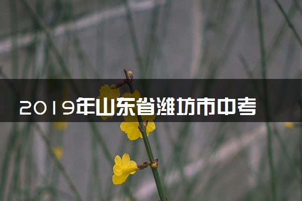 2019年山东省潍坊市中考数学试题及答案