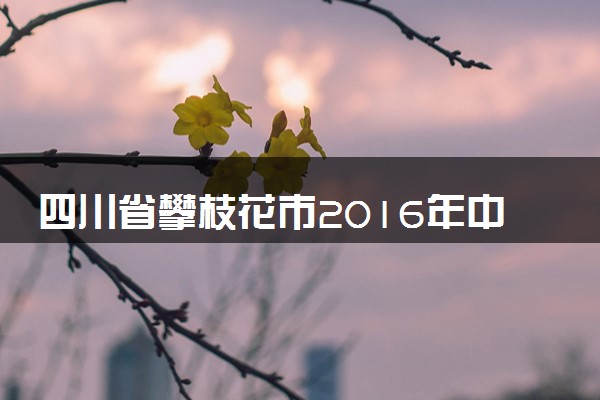 四川省攀枝花市2016年中考物理真题试题（含解析）