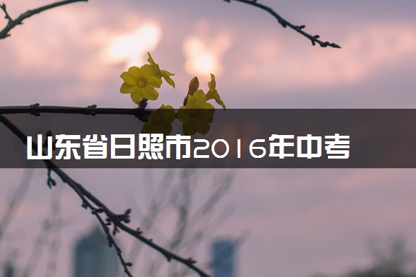 山东省日照市2016年中考物理真题试题（含解析）
