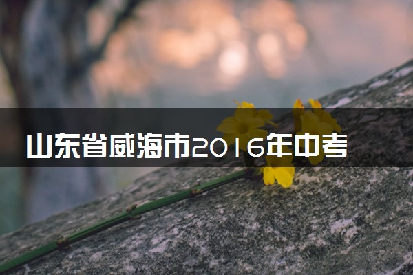 山东省威海市2016年中考物理真题试题（含答案）