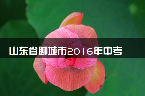 山东省聊城市2016年中考物理真题试题（含答案）