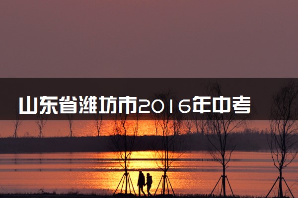 山东省潍坊市2016年中考物理真题试题（含答案）