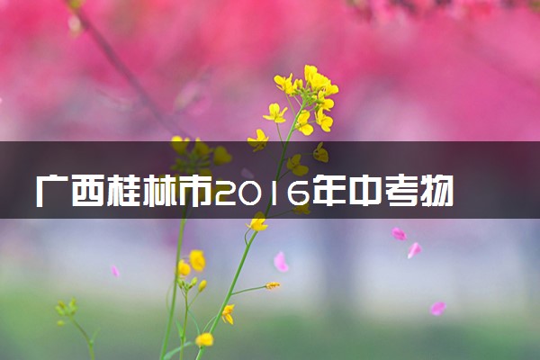 广西桂林市2016年中考物理真题试题（含解析）
