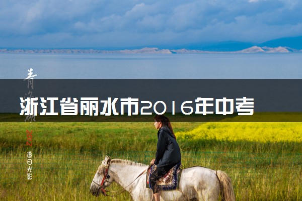 浙江省丽水市2016年中考物理真题试题（含解析）