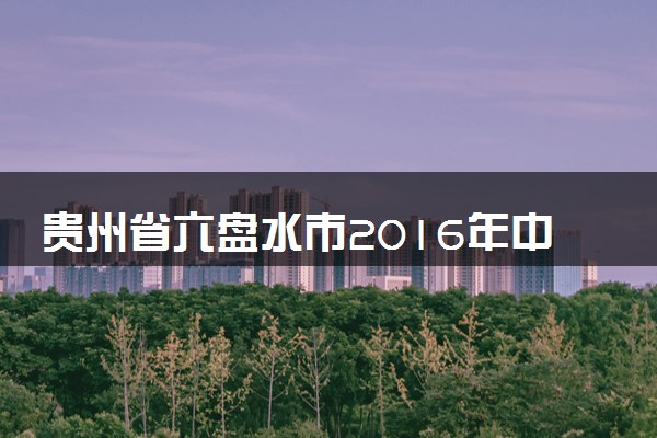 贵州省六盘水市2016年中考理综（物理部分）真题试题（含解析）
